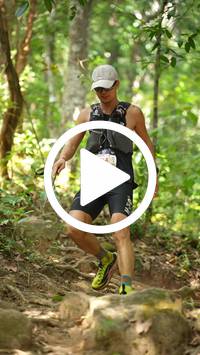 BIB:  <button type="button" onclick="openModal(27631121)" class="btn btn-primary btn-sm float-right" data-toggle="modal" data-target=".modal-high-quality">
                <i class="fa fa-download"></i> Download
                </button>